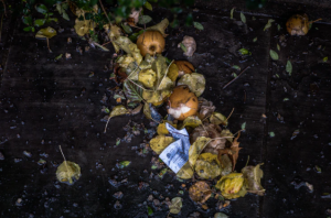 garbage