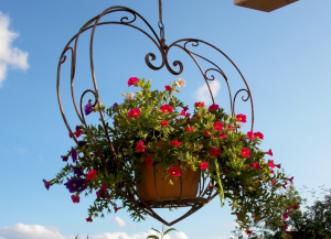 basket