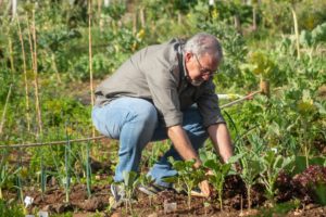 Gardening