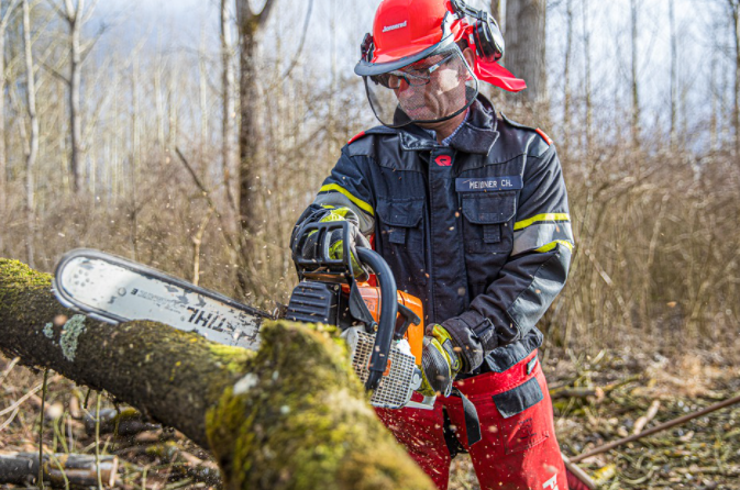 Tree Service